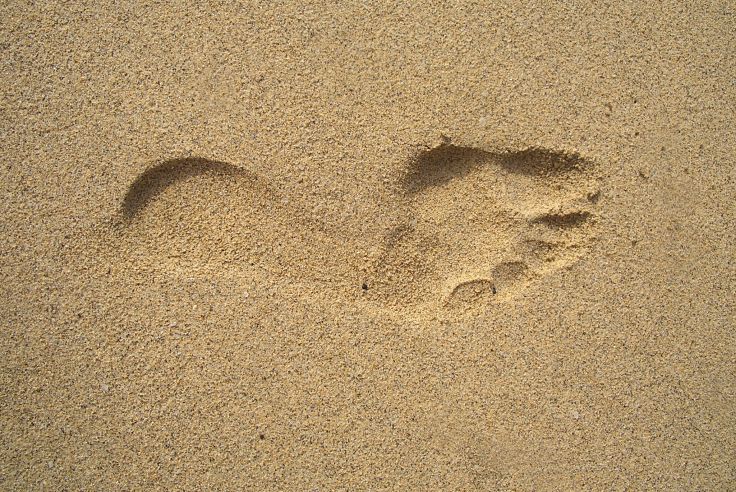 A Soft Tread in Soft Sand>
  <figcaption><i>A Soft Tread in Soft Sand <b>Source:</b> Pixabay.com</i></figcaption>
</figure>

<p>At first, skelter, pell-mell plunge of foot.<br />
Sinking into ooze, splattering mud about.<br />
Heavy foot - surging, clambering, wanting climax and fruition.<br />
Leaving a footprint trail, bogged in mud.<br />
A legacy of heavy haste.</p>

<p>Tread softly now the rush has quelled.<br />
With steps more measured, gait of purpose.<br />
With no footprints left to scar desire.<br />
With lightness of touch, absorbing rebound.<br />
With steps adroit, patient, poised, balanced.</p>

<p>Time has slowed,<br />
So, tread softly now.</p>

<br><br>
<script async src=