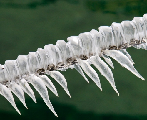 ice