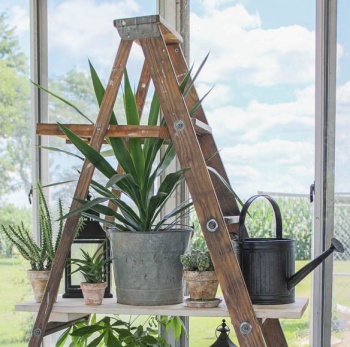 ladder shelf