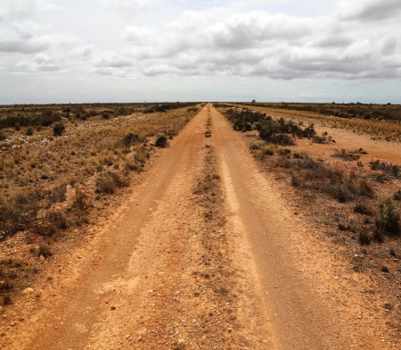 nullabor track